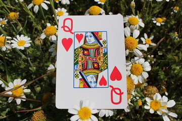 dame de coeur