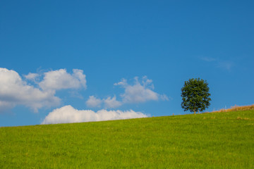 German landscape