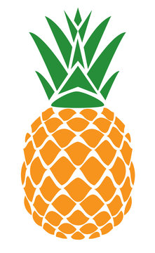 vector pineapple fruit