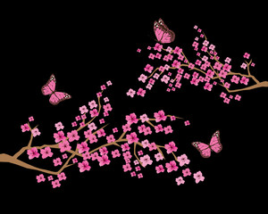 vector cherry blossom