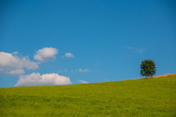 Fototapeta premium German landscape