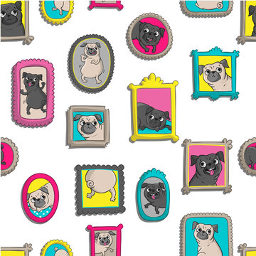 Frames with portraits of pugs.