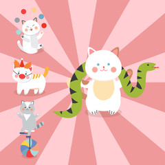 Obraz premium Circus cats vector cheerful illustration for kids with little domestic cartoon animals playing mammal