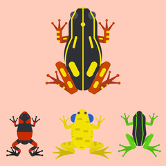 Frog cartoon tropical animal cartoon amphibian mascot character wild vector illustration.