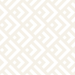 Stylish Lines Lattice. Ethnic Monochrome Texture. Abstract Geometric Background Design. Vector Seamless Subtle Pattern.