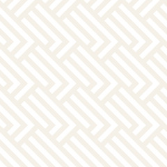 Stylish Lines Lattice. Ethnic Monochrome Texture. Abstract Geometric Background Design. Vector Seamless Subtle Pattern.
