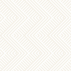 Abstract ZigZag Parallel Stripes. Stylish Ethnic Ornament. Vector Seamless Pattern