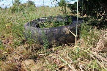 pneu abandonné dans la nature