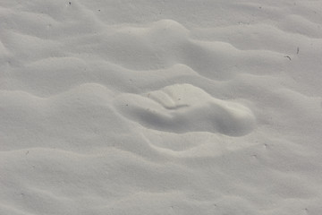 foot prints in the sand at Siesta Beach, Florida