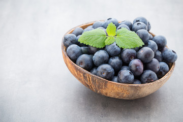 Fresh blueberries natural coconut in a bowl on a gray background.
