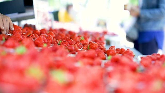 barquette de fraise dans un march&eacute; 