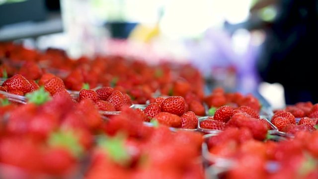 barquette de fraise dans un march&eacute; 