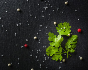 Green fresh Parsley on black slate with seasoning and salt.