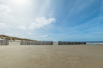 Lonesome Beach Of North Sea With Timber Piles In The Background - Netherlands