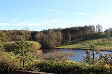 Early spring nature landscape