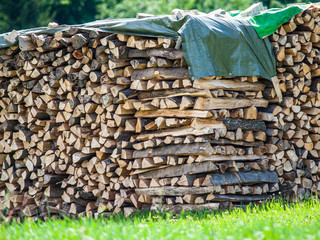 Brennholzlager auf Wiese