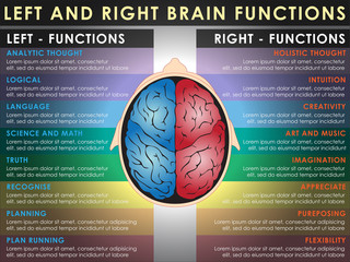 Left and right brain functions, Cerebral function. Vector and Illustration, EPS 10.