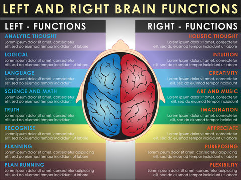 Are you Right-brained? Left-brained? Take the brain test! - MoroccoEnglish