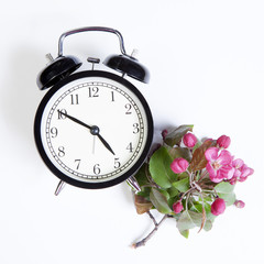 the Clock with flowers of an apple-tree of Nedzvetsky (Malus niedzwetzkyana Dieck) isolated on white background
