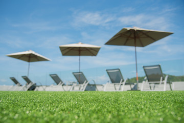 focus on artificial grass floor