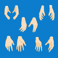 Set of cartoon-style girl hands in different positions