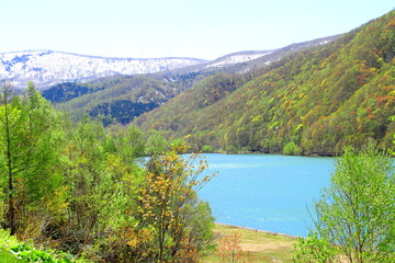 Asari dam and the lake Otarunai of fresh green hokkaido


