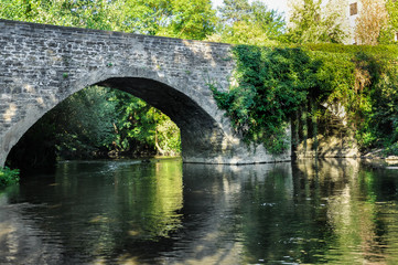 Fototapeta na wymiar Bridge of the Bandits, medieval bridge, Larrasoaña, Navarra, Spain