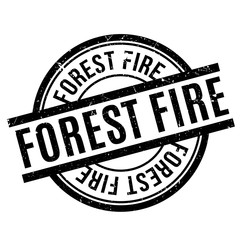 Forest Fire rubber stamp. Grunge design with dust scratches. Effects can be easily removed for a clean, crisp look. Color is easily changed.