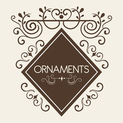 Ornamental diamond shaped frame and ornaments sign over white background. Vector illustration.