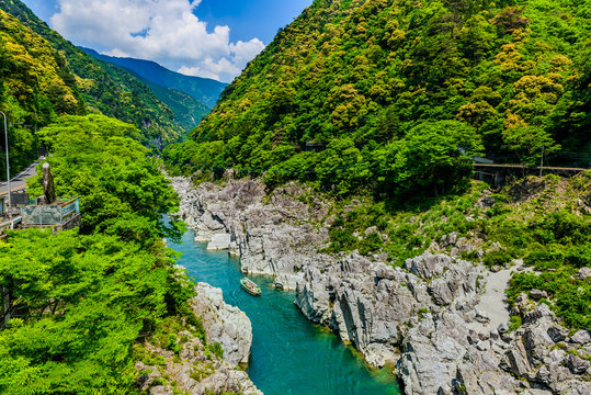 洋画 徳島県吉野川の風景 洋画 徳島県吉野川の風景 吉野川市 | Japanese | 徳島