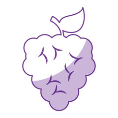 grapes fresh fruit icon vector illustration design