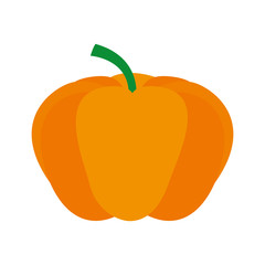 pumpkin fresh vegetable icon vector illustration design