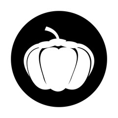 pumpkin fresh vegetable icon vector illustration design