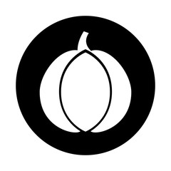 garlic fresh vegetable icon vector illustration design