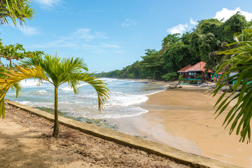 Obraz premium Cahuita - National park with beautiful beaches and rainforest in Costa Rica