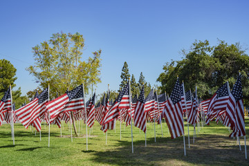 Sea of America Flags