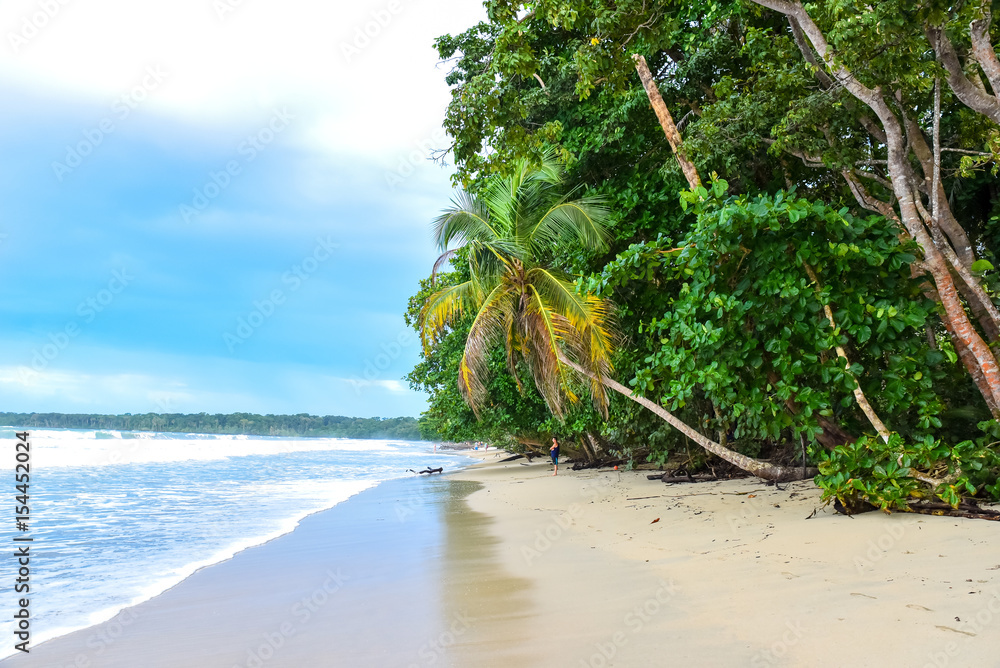 Wall mural Cahuita - National park with beautiful beaches and rainforest in Costa Rica