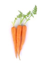 Carrot vegetable with leaves isolated on white background cutout