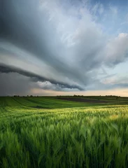 Foto op Canvas Cyclone on the field. Beautiful natural landscape in the summer time © biletskiyevgeniy.com