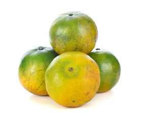 tangerine citrus fruit isolated on white background.