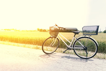 Fototapeta na wymiar Bicycle on the road and rice field