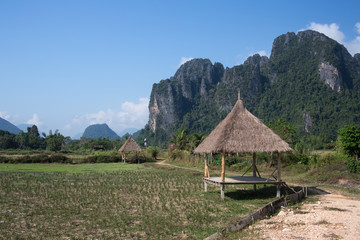 Farm field landscape at Vang Vieng, Laos