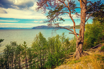 Fototapeta na wymiar Mountain lake shore with the pine tree. Beautiful nature of Norway.