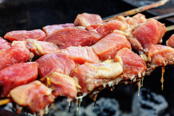 Pork shashlik on skewers