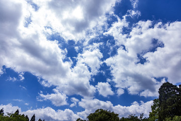 ダイナミックな雲