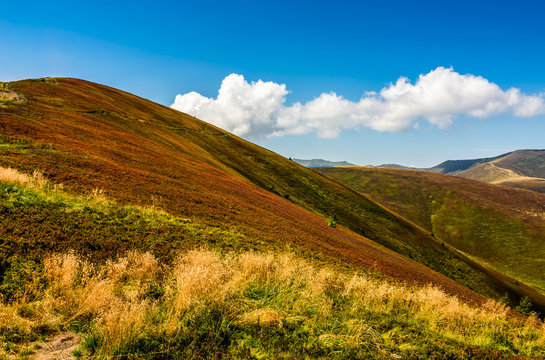 mountain hillsides in late summer