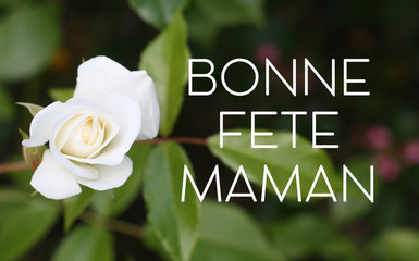 F&ecirc;te des m&egrave;res