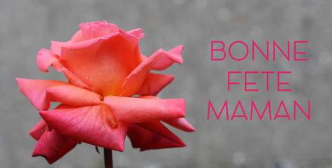 F&ecirc;te des m&egrave;res