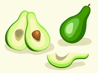 Avocado Vegetable Set. Vector Illustration