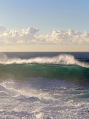 Ocean waves about to break in morning light.